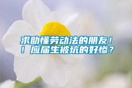 求助懂劳动法的朋友！！应届生被坑的好惨？