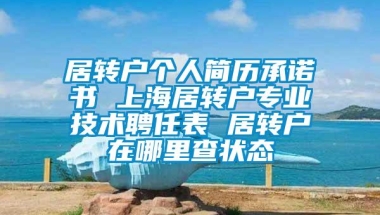 居转户个人简历承诺书 上海居转户专业技术聘任表 居转户在哪里查状态