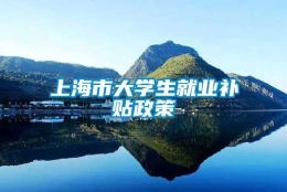 上海市大学生就业补贴政策