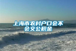 上海市农村户口会不会交公积金