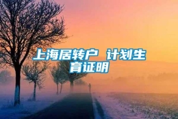 上海居转户 计划生育证明