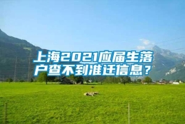 上海2021应届生落户查不到准迁信息？