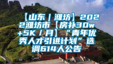 【山东｜潍坊】2022潍坊市【房补30w+5K／月】“青年优秀人才引进计划”选调614人公告