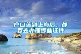 户口落到上海后，都要去办理哪些证件