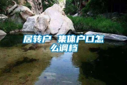 居转户 集体户口怎么调档