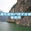 浦东居转户提交容易审批吗