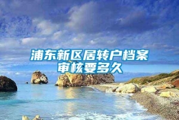 浦东新区居转户档案审核要多久