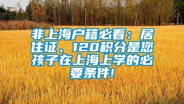 非上海户籍必看：居住证、120积分是您孩子在上海上学的必要条件!