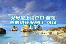 父母是上海户口,自领养的小孩没户口 可以上学