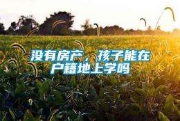 没有房产，孩子能在户籍地上学吗