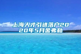 上海人才引进落户2020年5月舍弗勒