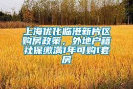 上海优化临港新片区购房政策，外地户籍社保缴满1年可购1套房