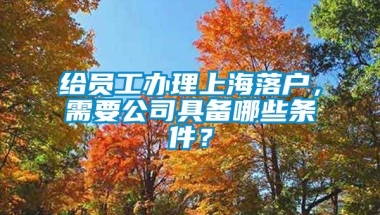 给员工办理上海落户，需要公司具备哪些条件？