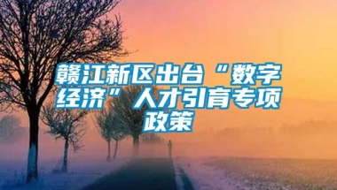 赣江新区出台“数字经济”人才引育专项政策