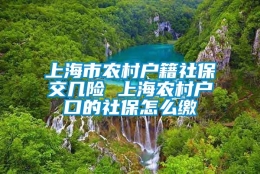 上海市农村户籍社保交几险 上海农村户口的社保怎么缴