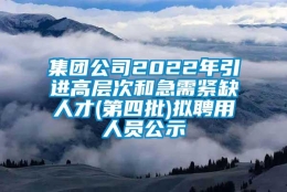 集团公司2022年引进高层次和急需紧缺人才(第四批)拟聘用人员公示