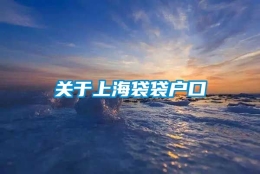 关于上海袋袋户口