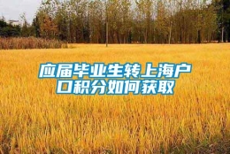 应届毕业生转上海户口积分如何获取