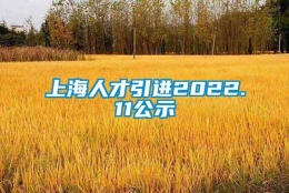 上海人才引进2022.11公示