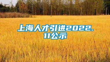 上海人才引进2022.11公示