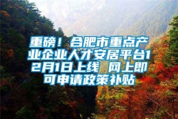 重磅！合肥市重点产业企业人才安居平台12月1日上线 网上即可申请政策补贴