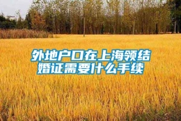 外地户口在上海领结婚证需要什么手续