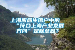 上海应届生落户中的“符合上海产业发展方向”是啥意思？