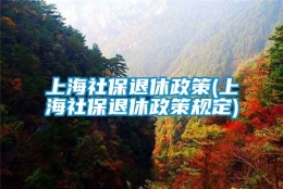 上海社保退休政策(上海社保退休政策规定)