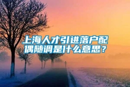 上海人才引进落户配偶随调是什么意思？