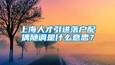 上海人才引进落户配偶随调是什么意思？