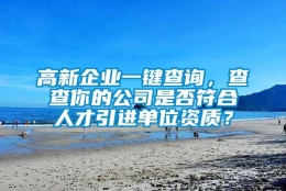 高新企业一键查询，查查你的公司是否符合人才引进单位资质？