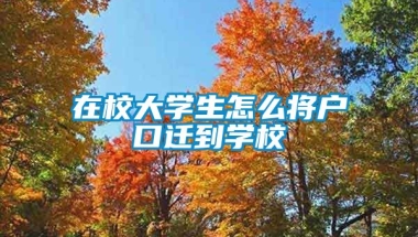 在校大学生怎么将户口迁到学校