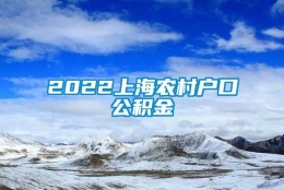 2022上海农村户口公积金