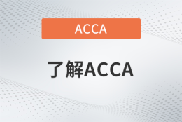 上海acca人才引进政策一览