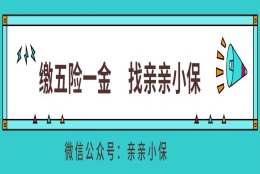 为什么社保缴费记录不是实时更新，延迟两个月才显示？一文说明白！