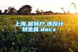 上海,居转户,违反计划生育.docx