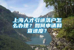 上海人才引进落户怎么办理？如何申请和查进度？