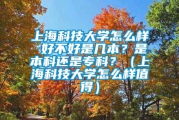 上海科技大学怎么样 好不好是几本？是本科还是专科？（上海科技大学怎么样值得）