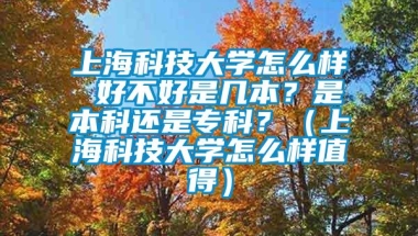 上海科技大学怎么样 好不好是几本？是本科还是专科？（上海科技大学怎么样值得）