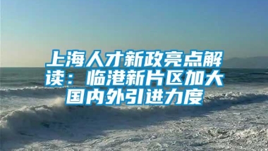 上海人才新政亮点解读：临港新片区加大国内外引进力度