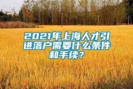 2021年上海人才引进落户需要什么条件和手续？