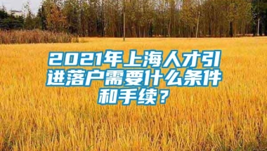 2021年上海人才引进落户需要什么条件和手续？