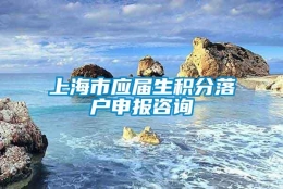 上海市应届生积分落户申报咨询