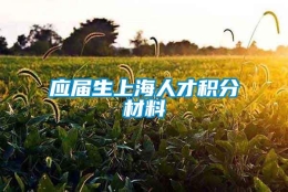 应届生上海人才积分材料