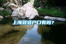 上海袋袋户口有吗？