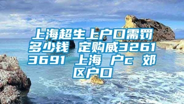 上海超生上户口需罚多少钱 定购威32613691 上海 户c 郊区户口