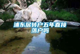 浦东居转户五年直接落户吗