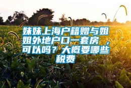 妹妹上海户籍赠与姐姐外地户口一套房 ，可以吗？大概要哪些税费