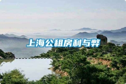 上海公租房利与弊