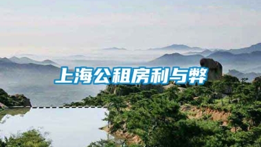 上海公租房利与弊